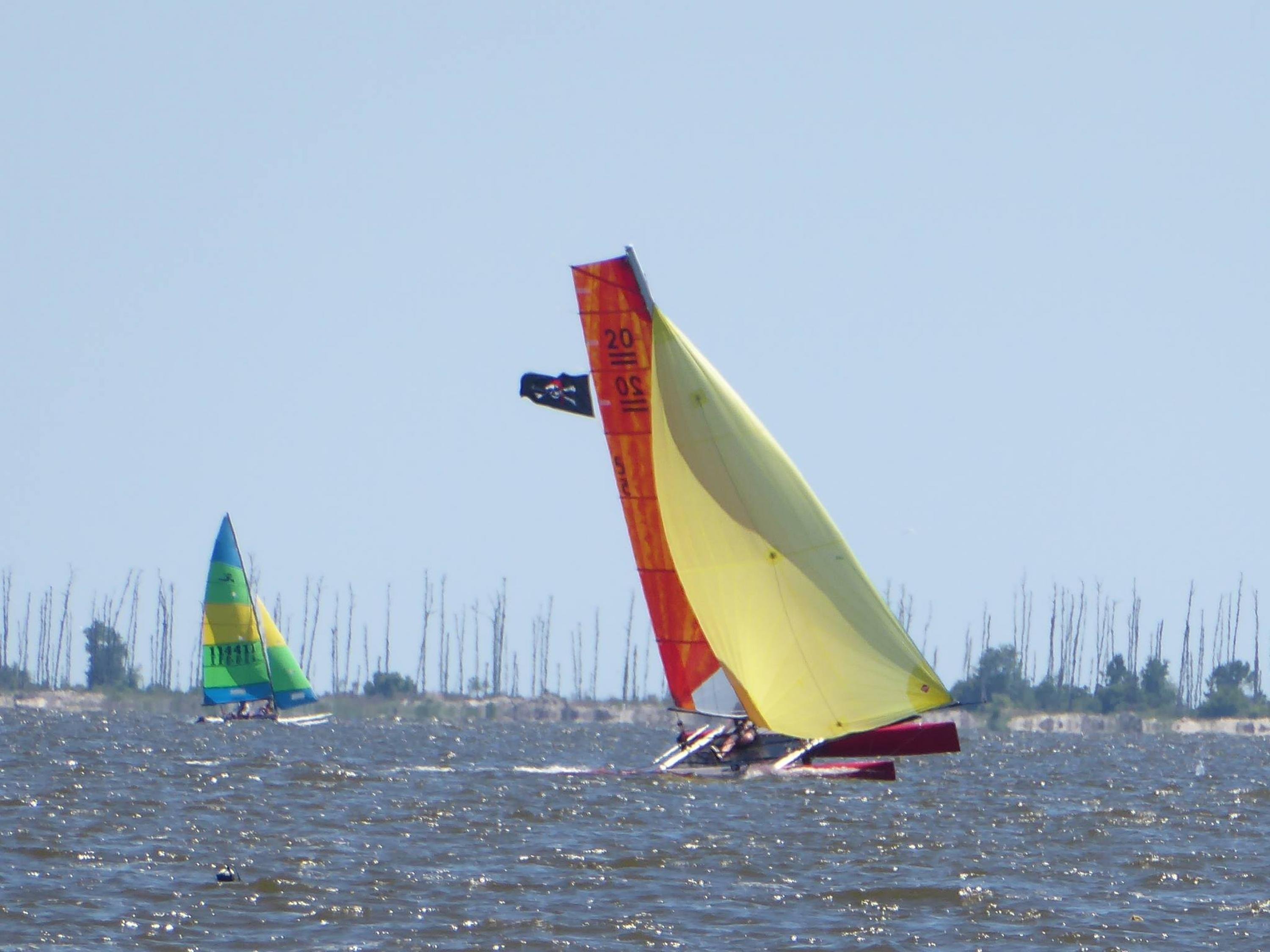 Joe Pocreva cover photo